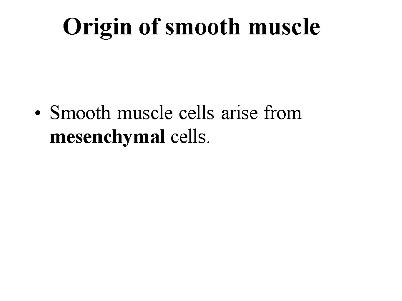 Origin of smooth muscle   Smooth muscle cells arise from mesenchymal cells.